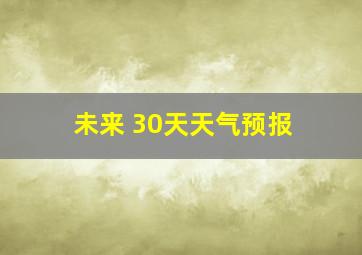 未来 30天天气预报